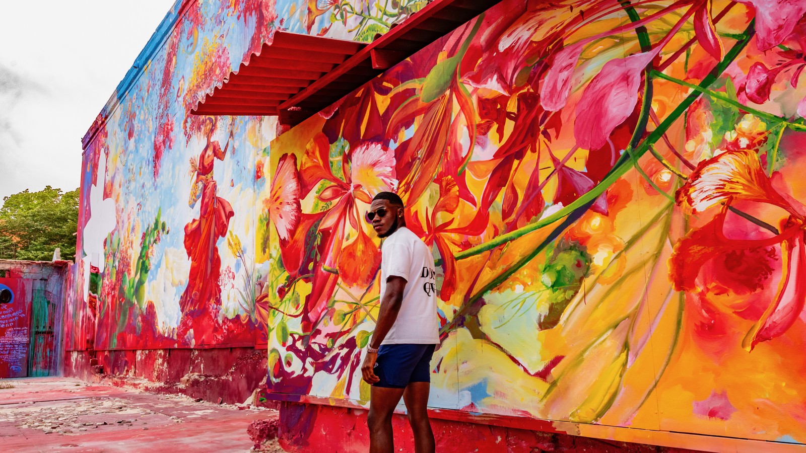 02. Curaçao Street Art - Image 6