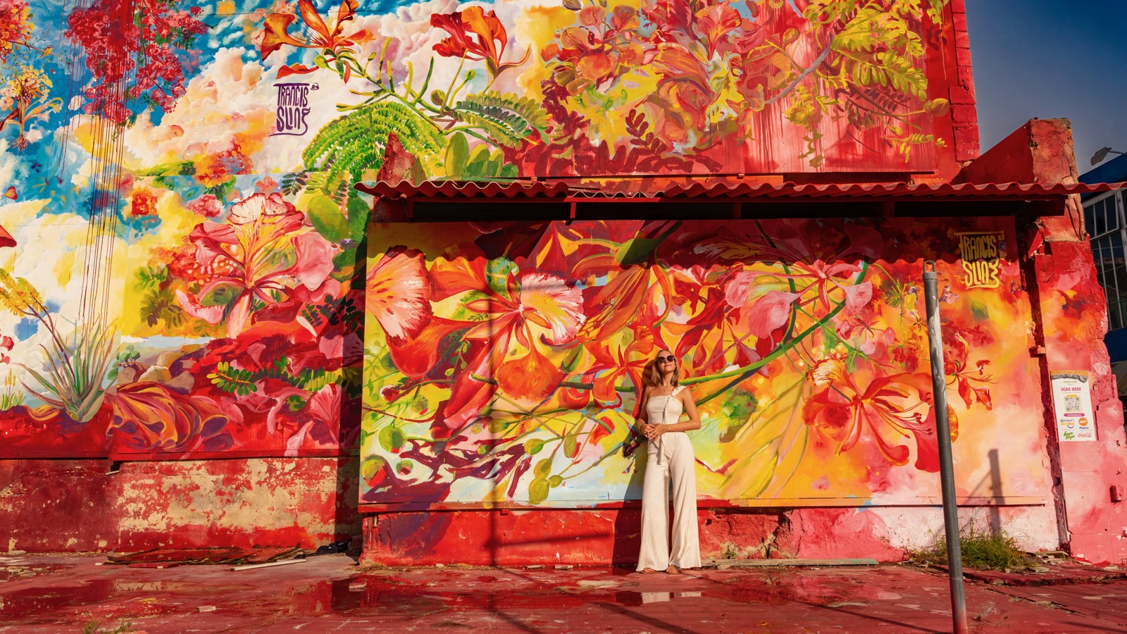 02. Curaçao Street Art - Image 10