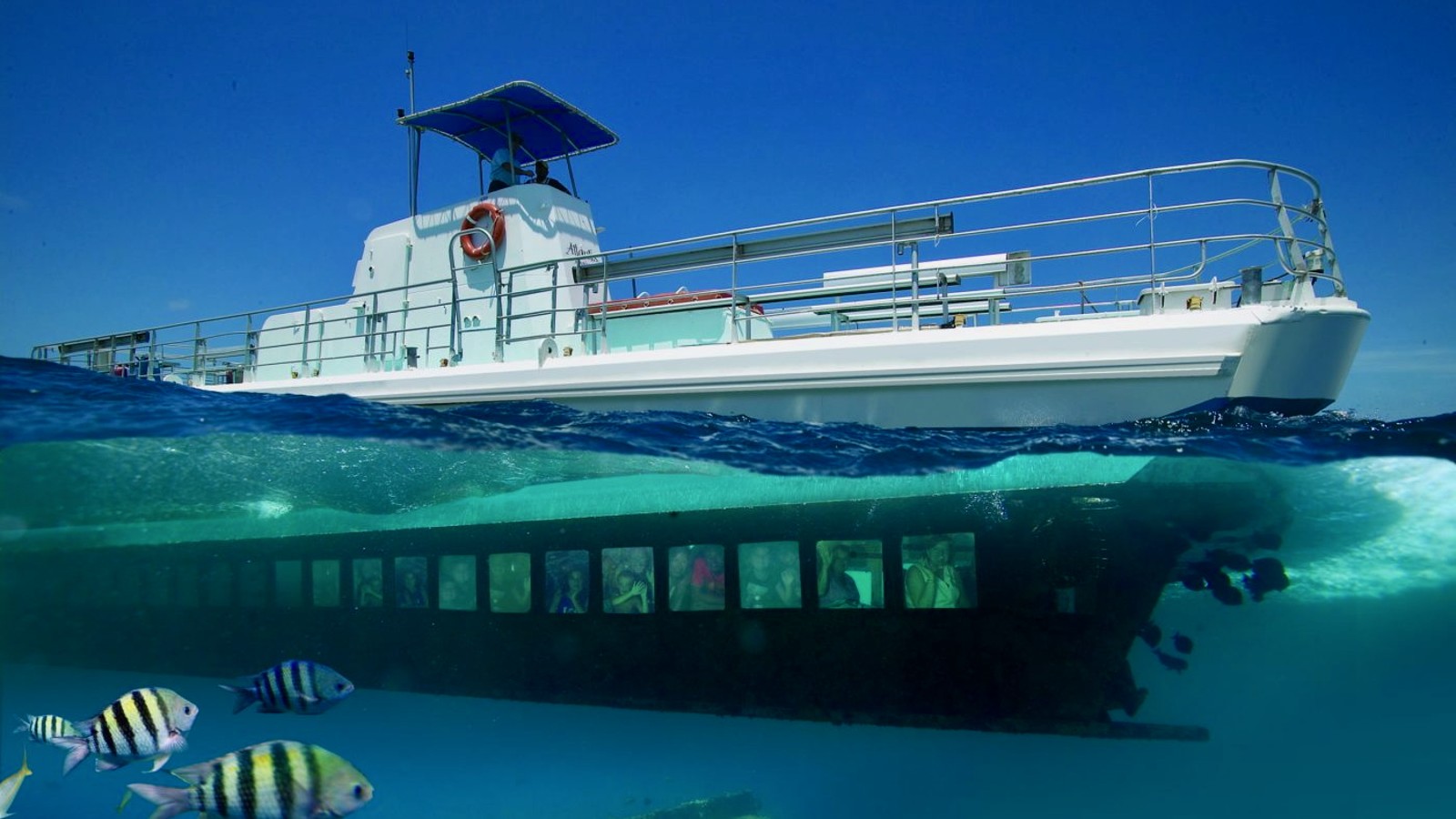Seaworld Explorer Semi-Submarine - De Palm Tours - Image 1