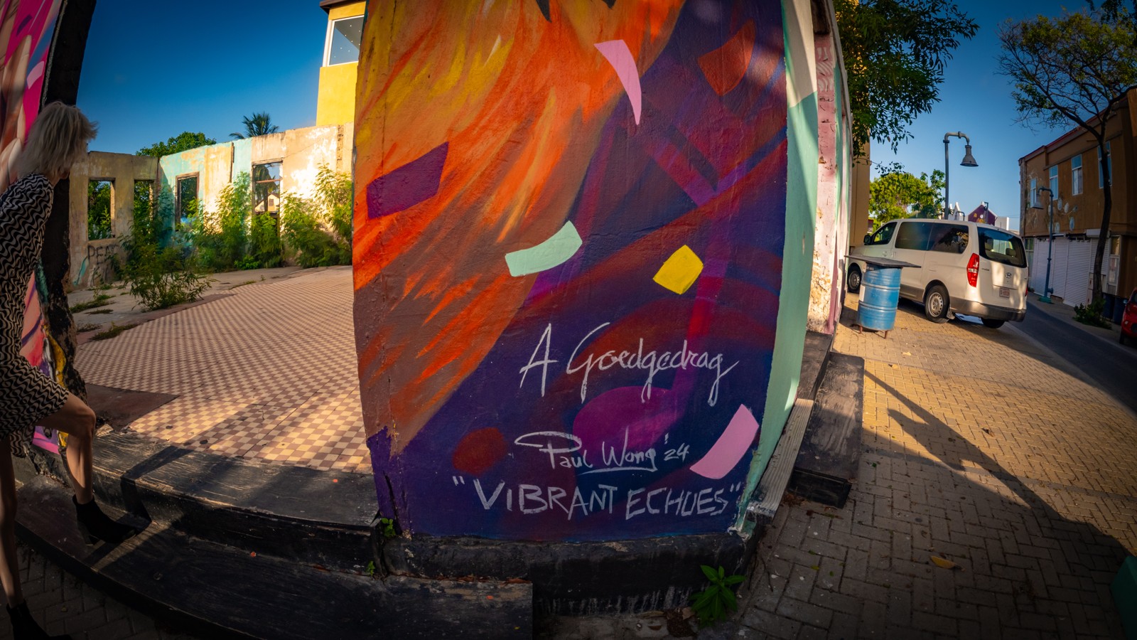 11. Aruba Strteet Art - Image 2