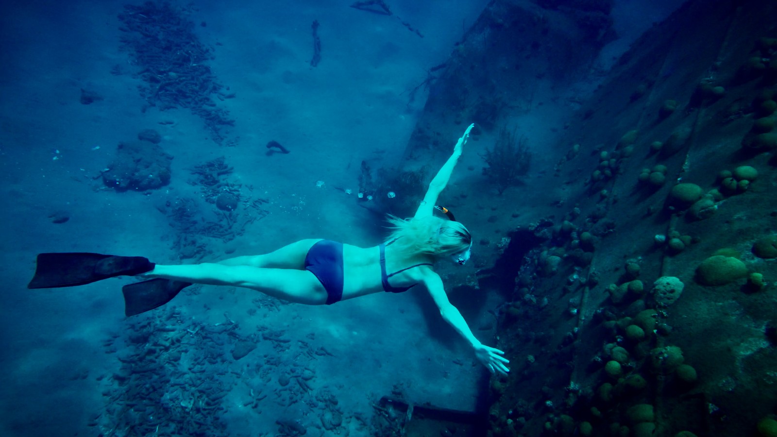 Discover Scuba Diving