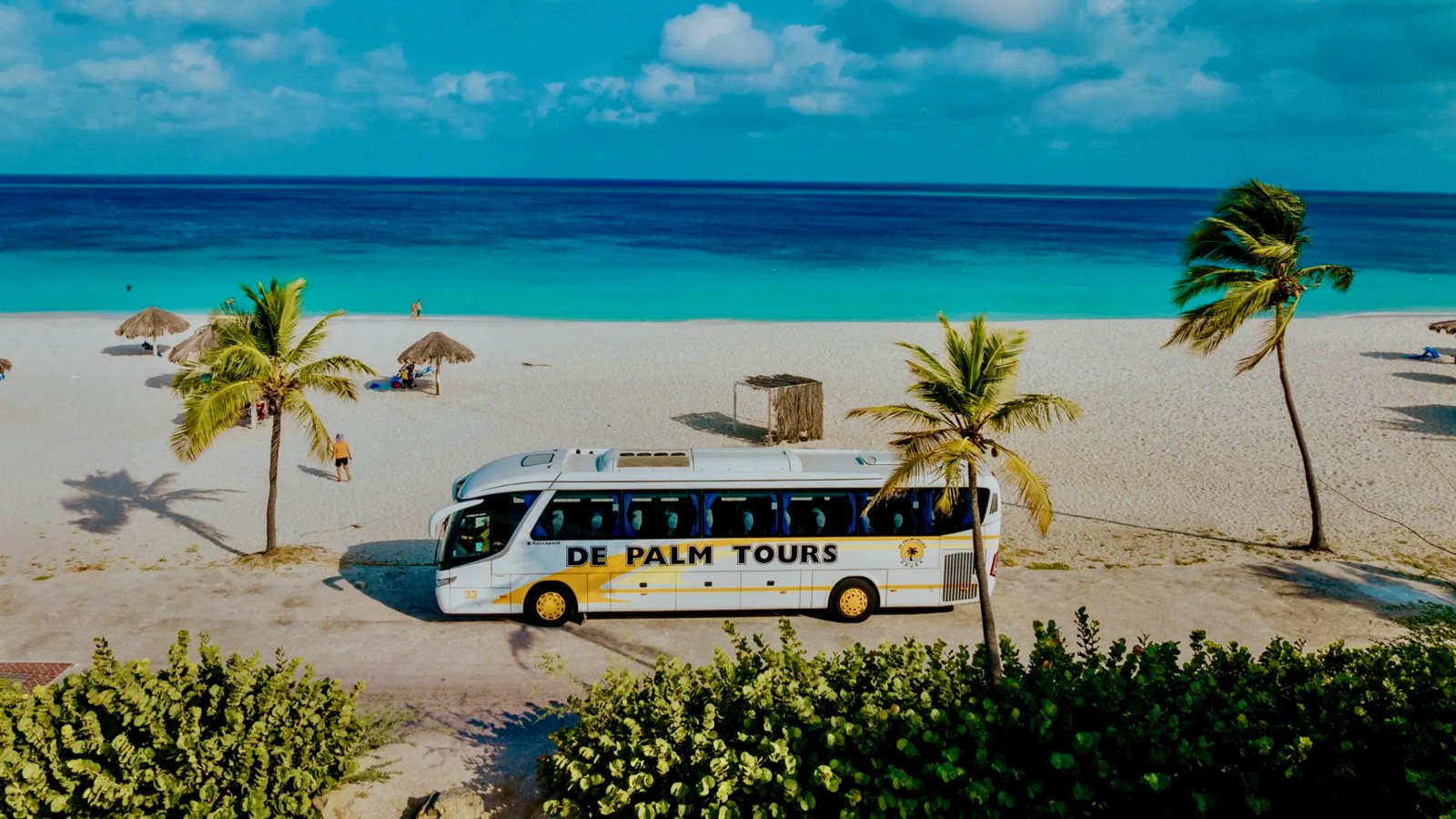 Baby Beach Relax Tour - De Palm Tours - Image 1