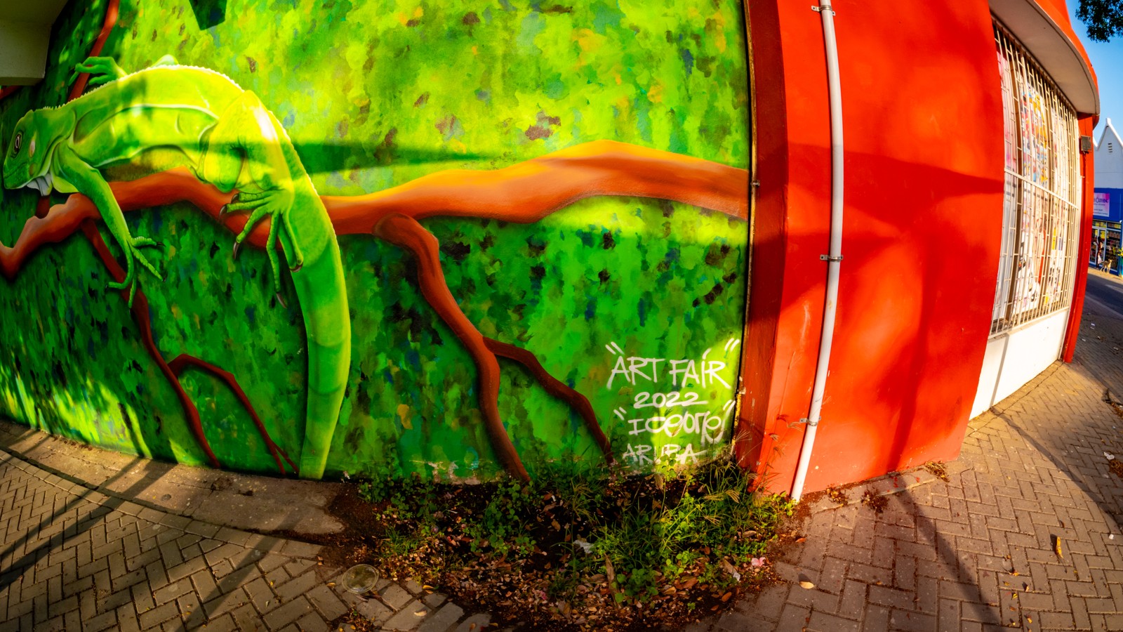 13. Aruba Street Art - Image 2