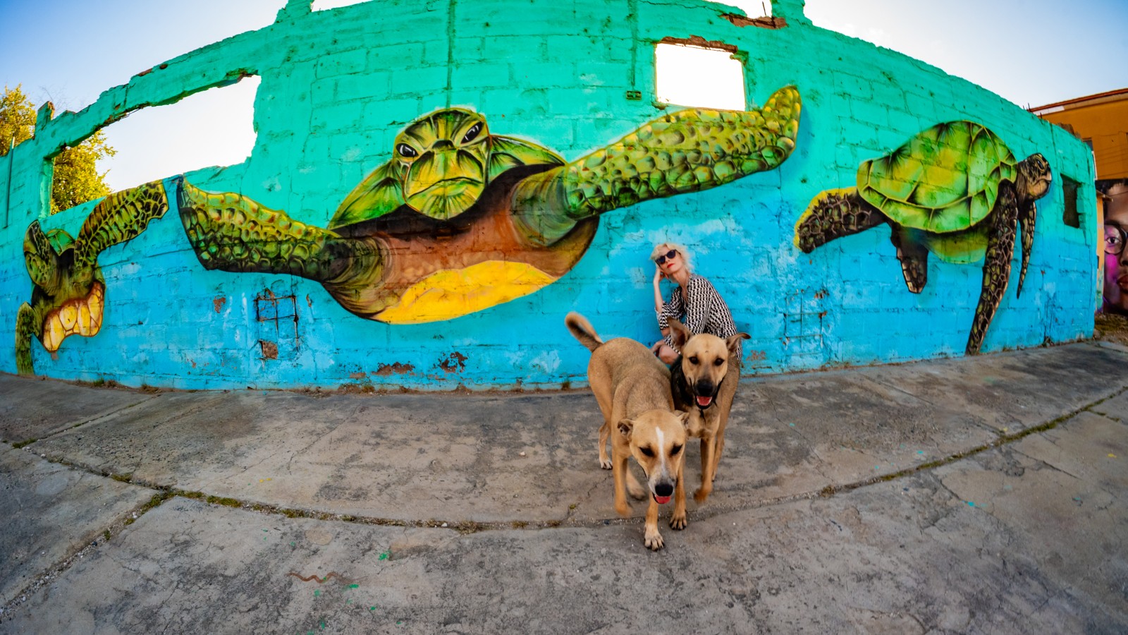 14. Aruba Street Art - Image 4