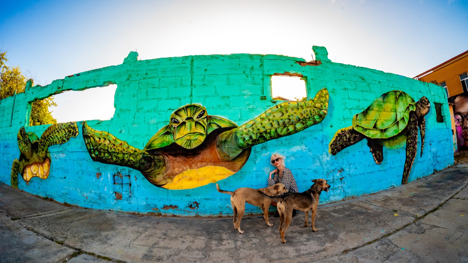 14. Aruba Street Art - Image 6