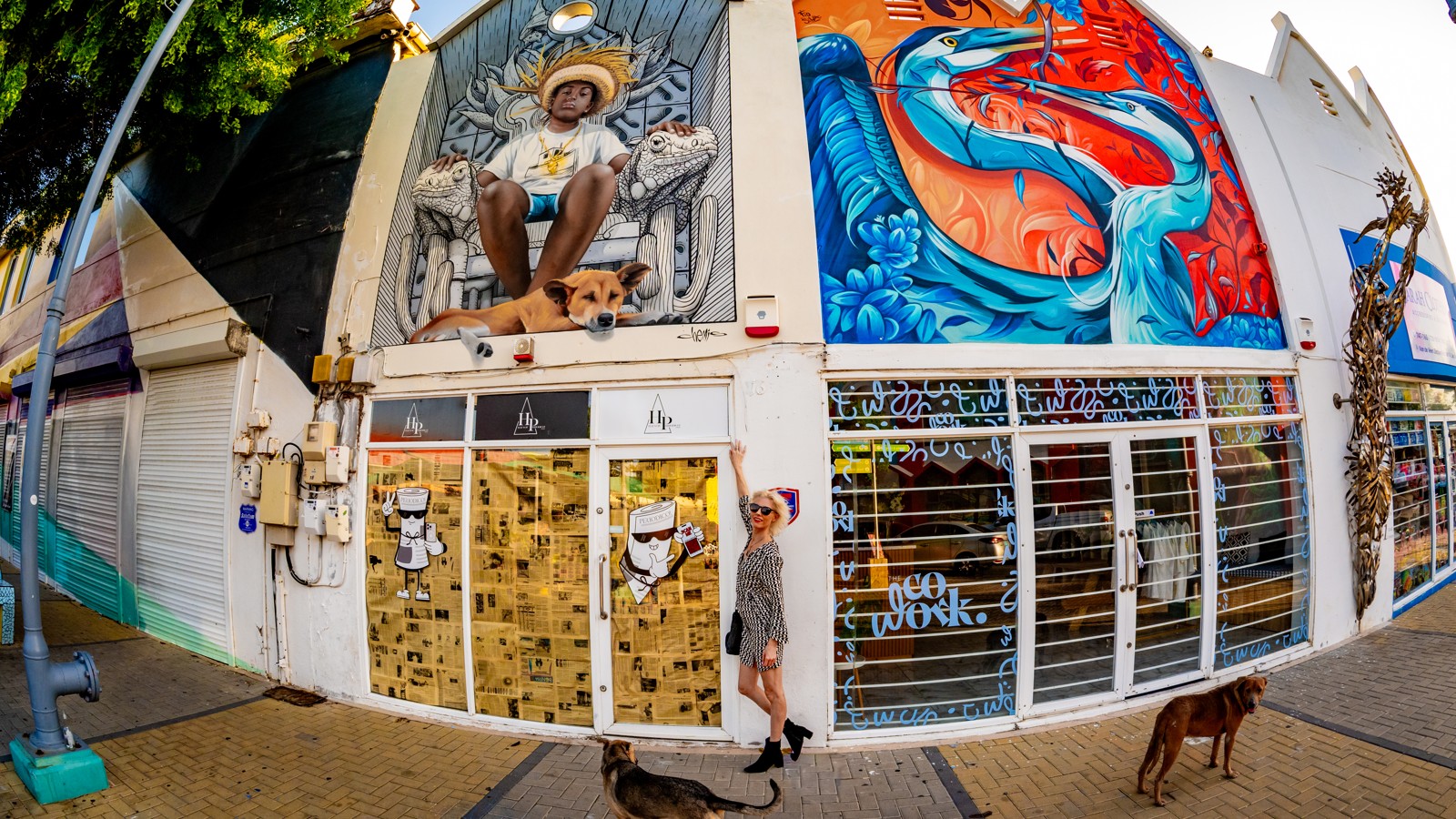 16. Aruba Street Art - Image 1