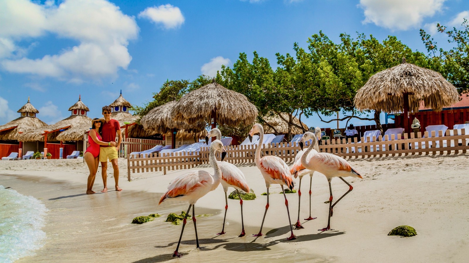 All-Inclusive Day Pass - De Palm Island - Image 5