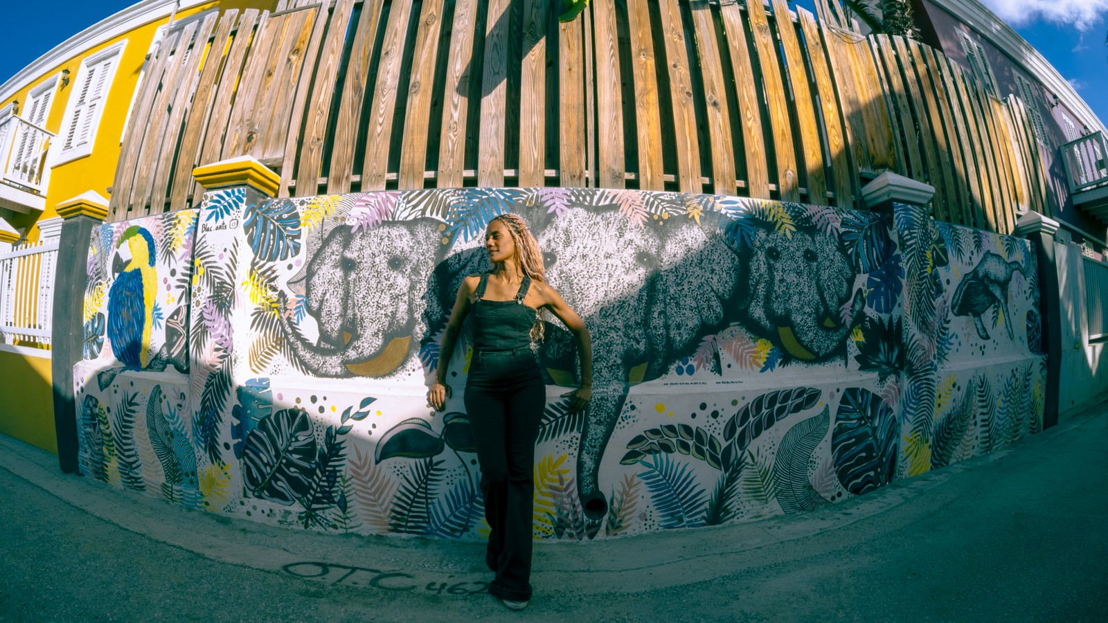 21A. Curaçao Street Art - Image 2