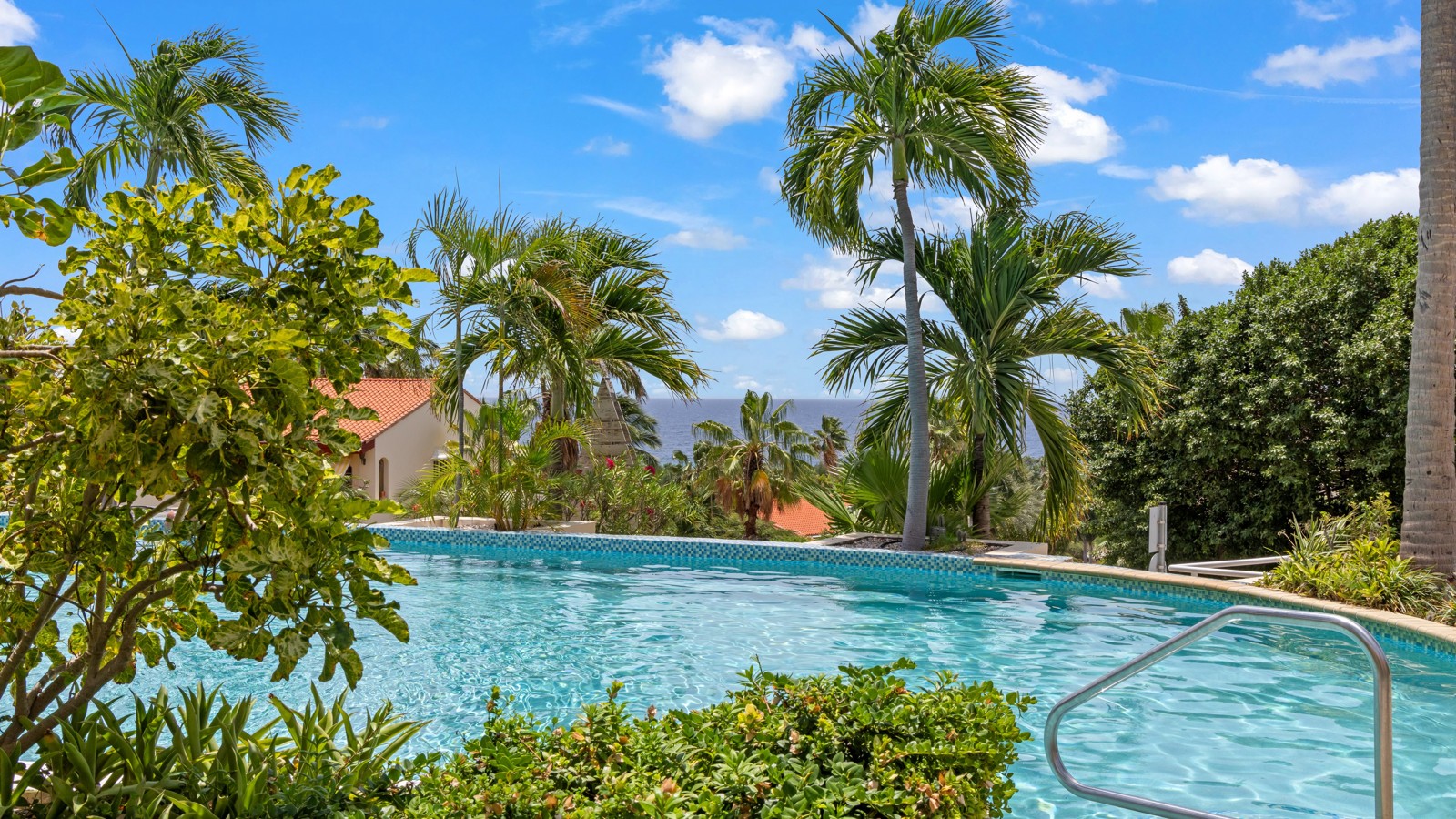 07. Pool - Palm Piscadera - Image 2