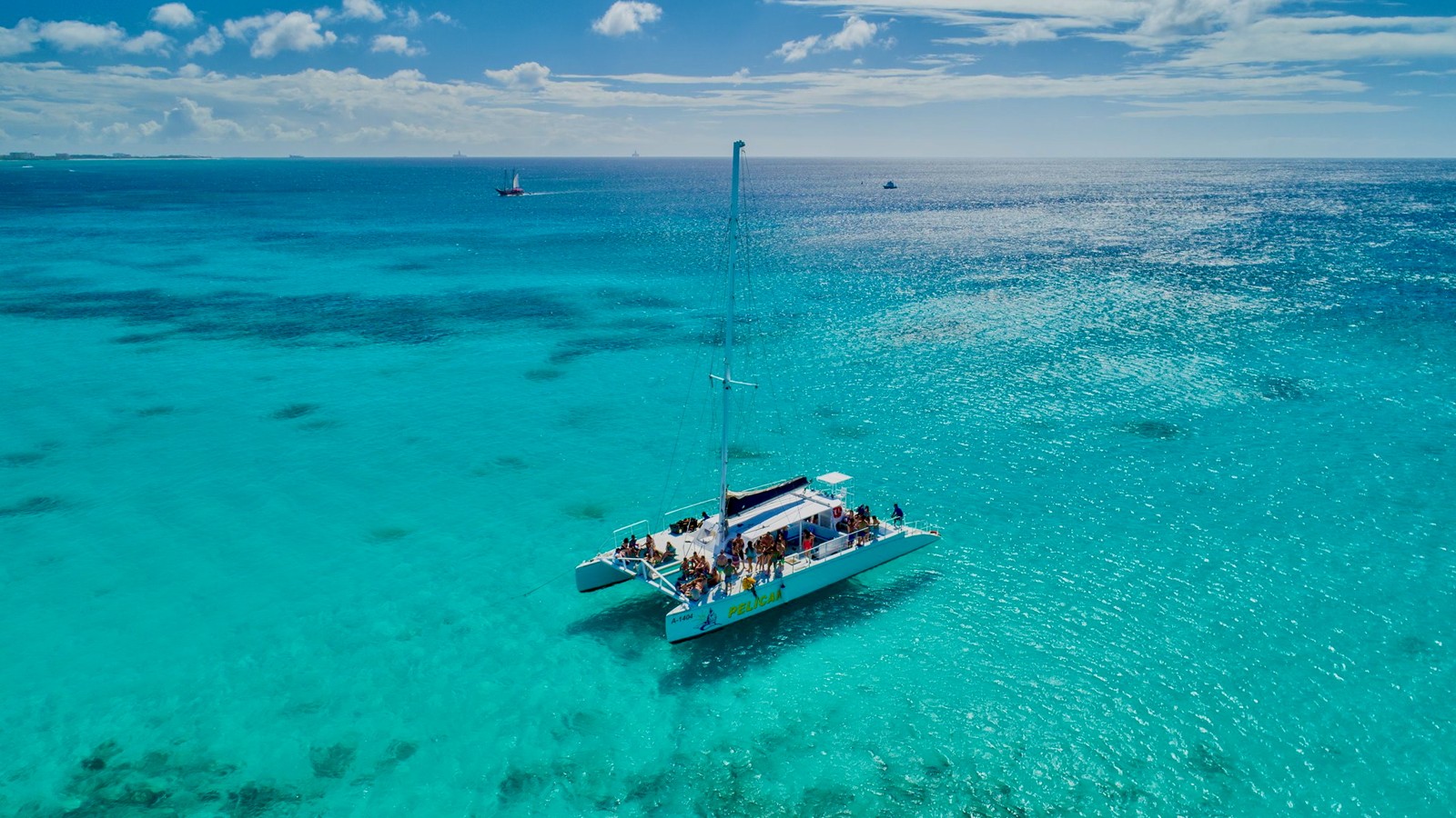 Palm Pleasure Afternoon Snorkel Cruise - Image 2