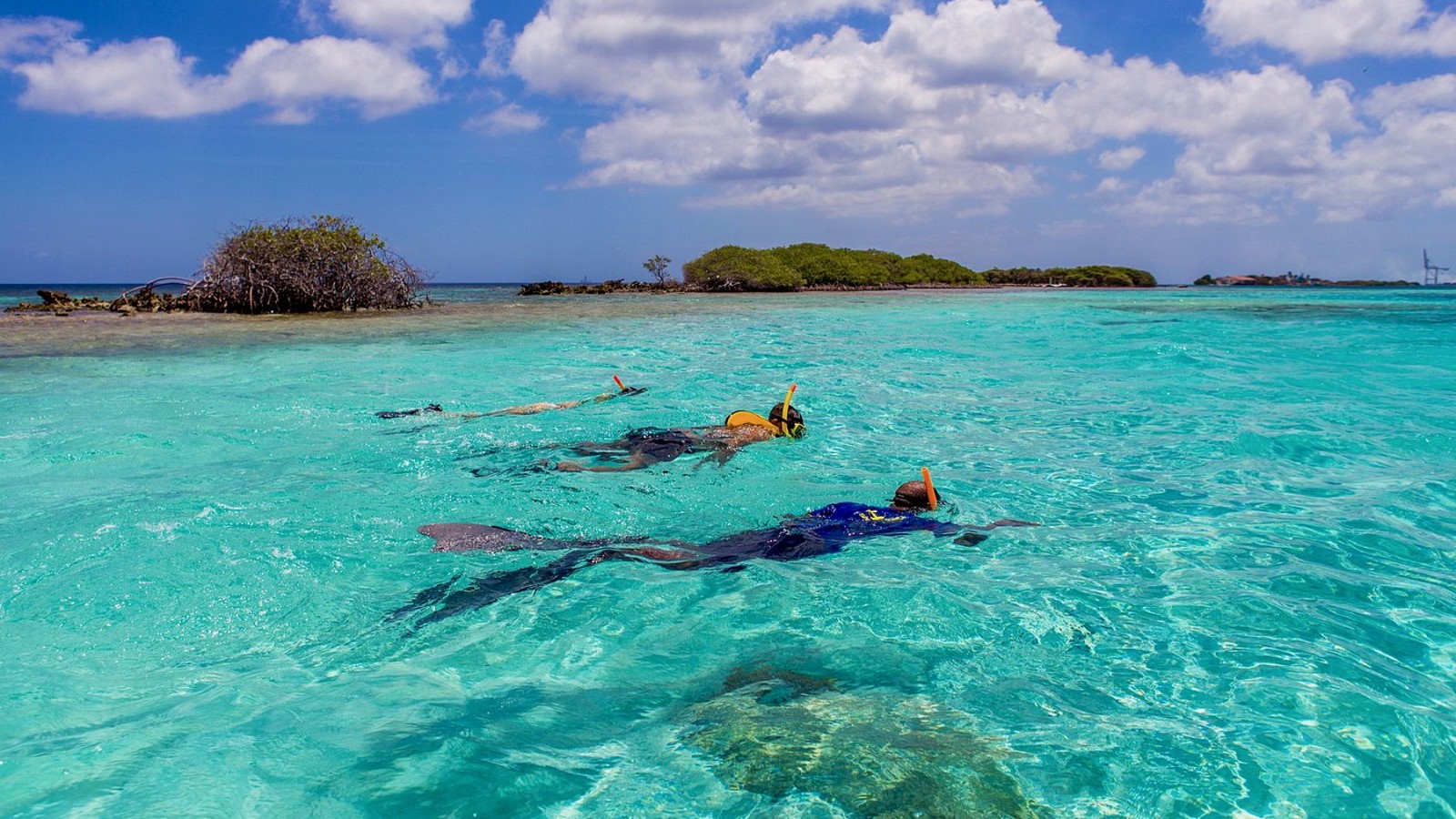 Palm Pleasure Afternoon Snorkel Cruise - Image 4