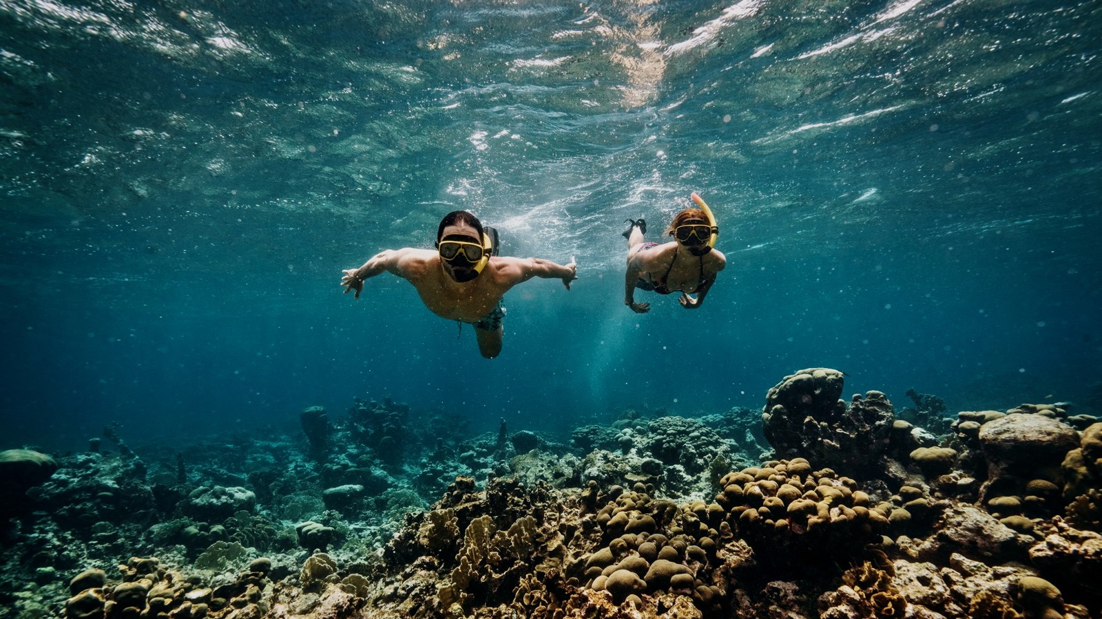 Palm Pleasure Afternoon Snorkel Cruise - Image 5