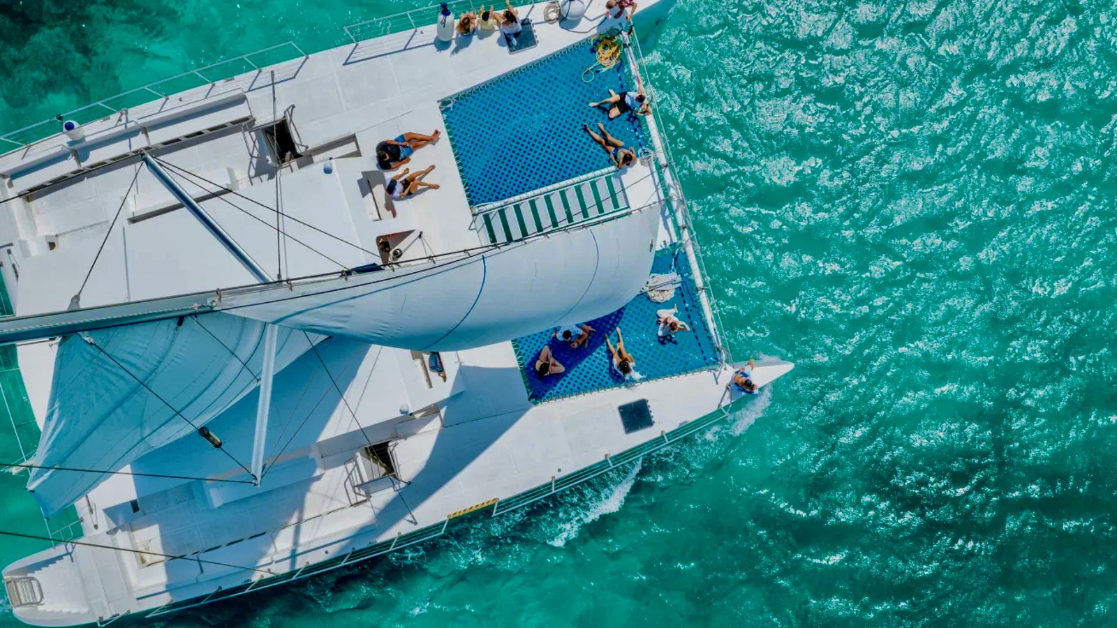 Palm Pleasure Afternoon Snorkel Cruise - Image 6