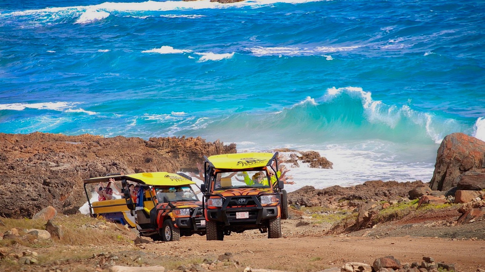 Private Luxury Natural Pool Safari with Champagne - Image 5
