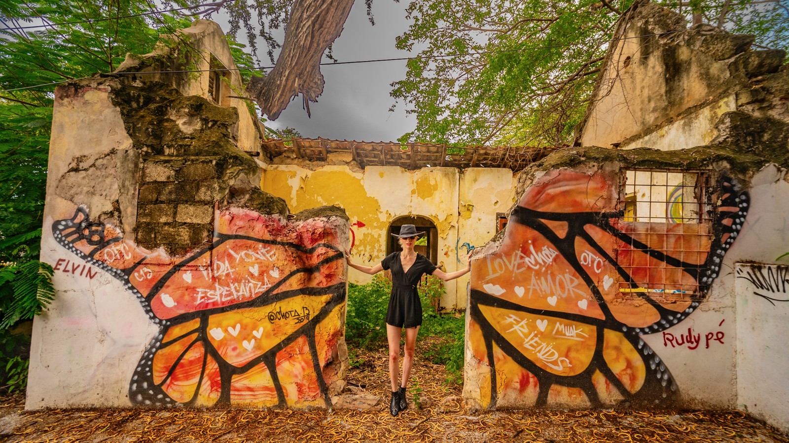 31. Curaçao Street Art - Image 4