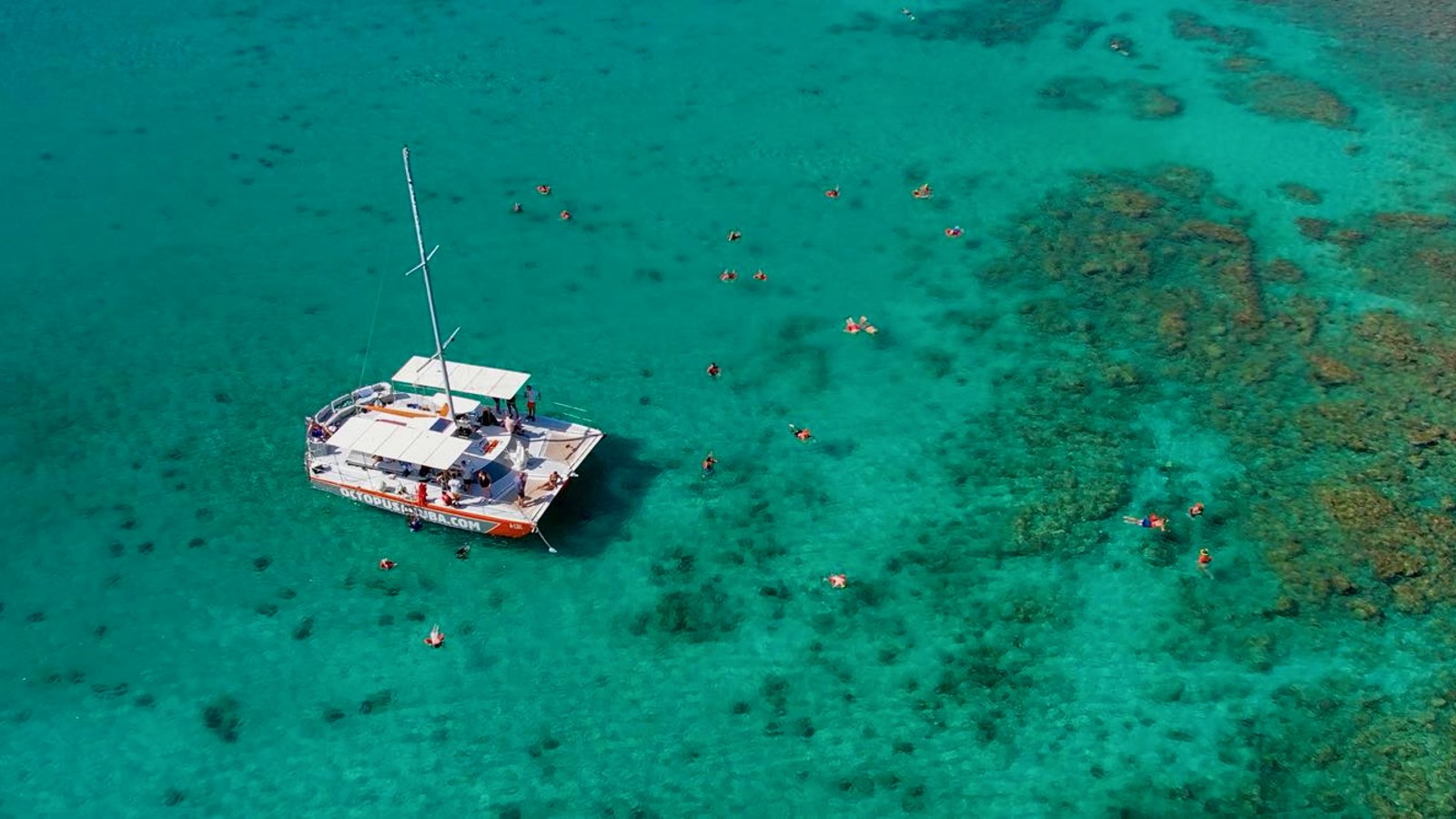 Morning Snorkel Sail - Octopus Sailing - Image 1