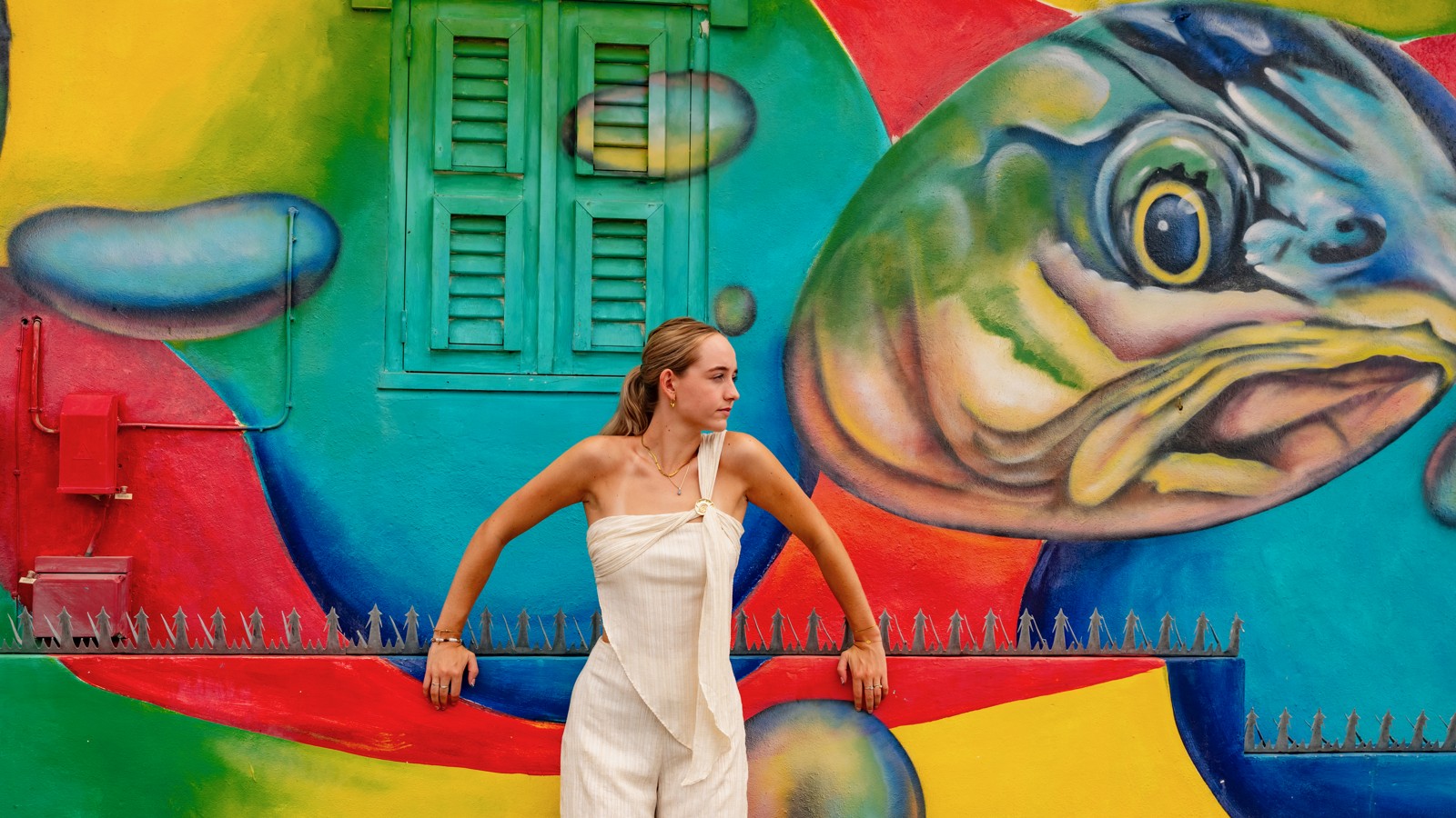 33. Curaçao Street Art - Image 4