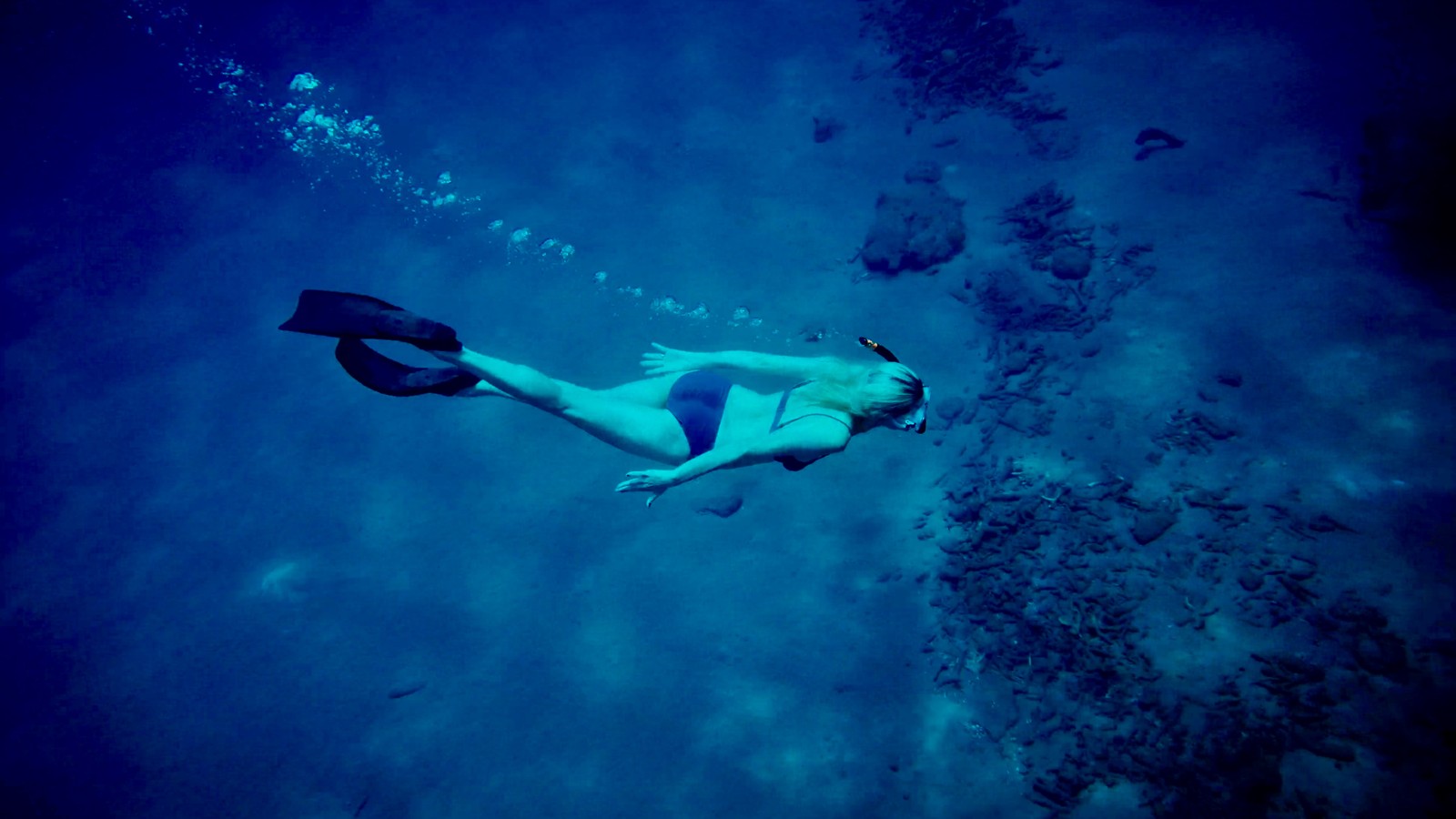 35. Swimming / Diving / Snorkeling - Image 1