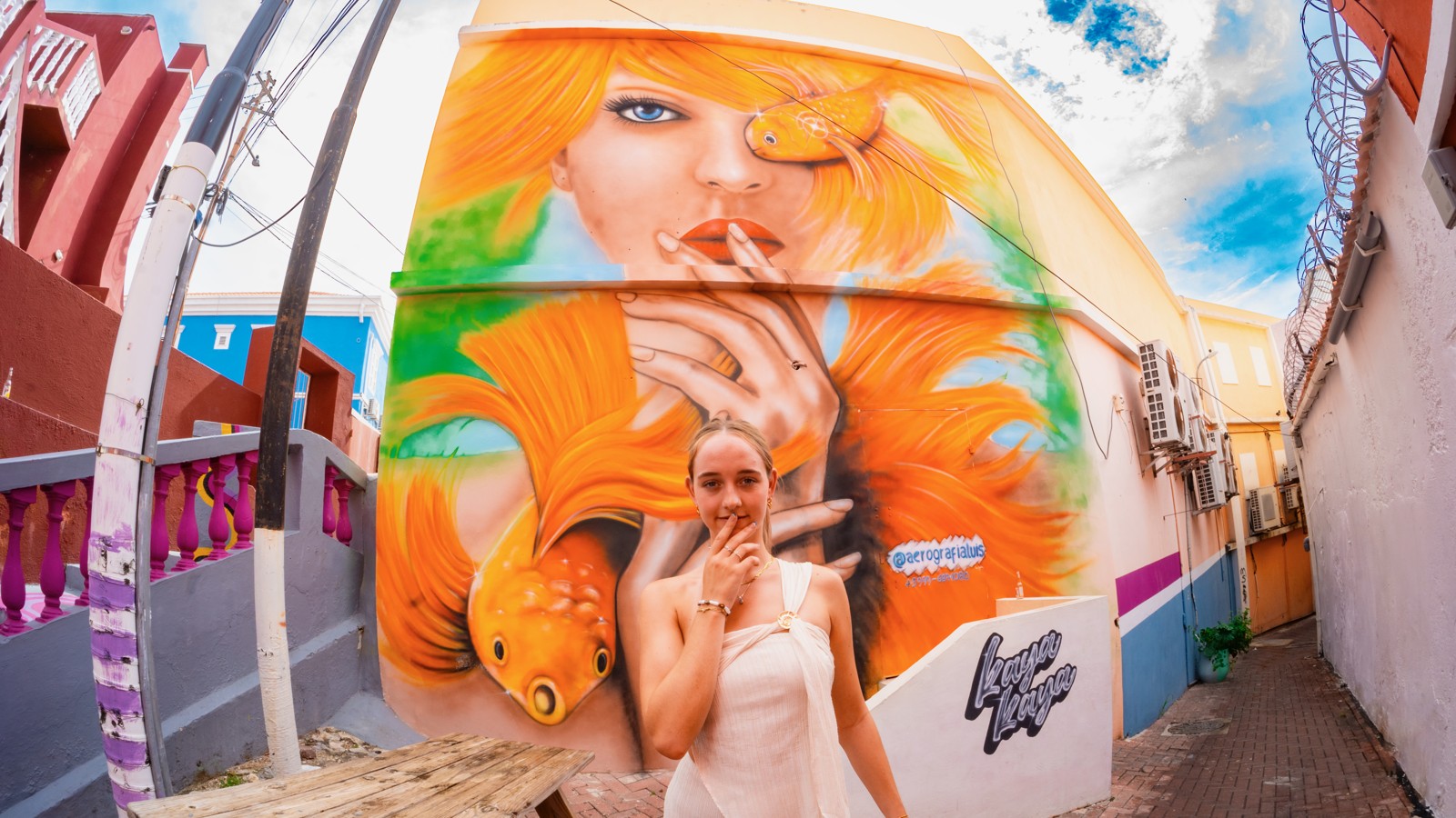 42. Curaçao Street Art - Image 7