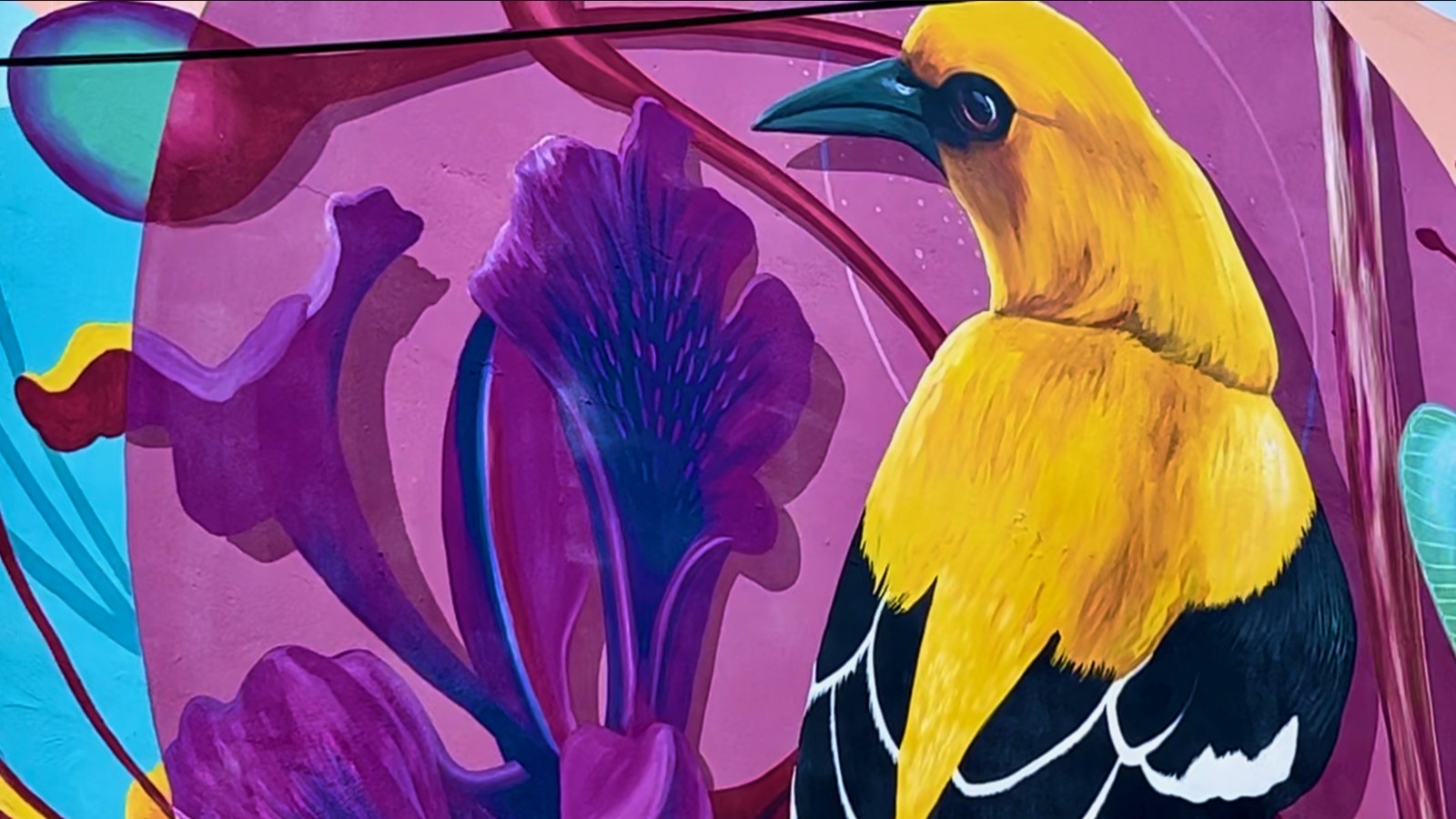 45. Curaçao Street Art - Image 3