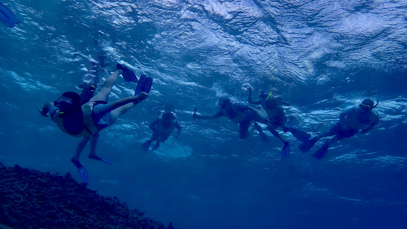 Private Kayak & Snorkel Tour - Image 2