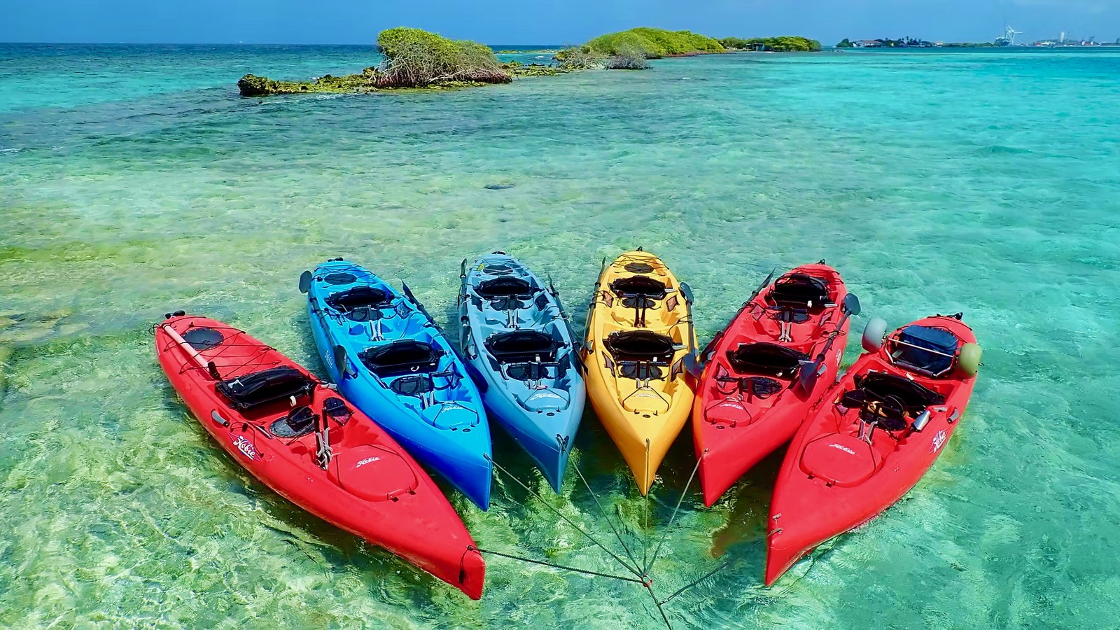 Custom Eco Tour (Kayak, SUP, or Bike)