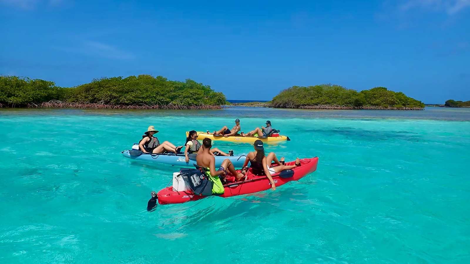 Custom Eco Tour (Kayak, SUP, or Bike) - Image 2