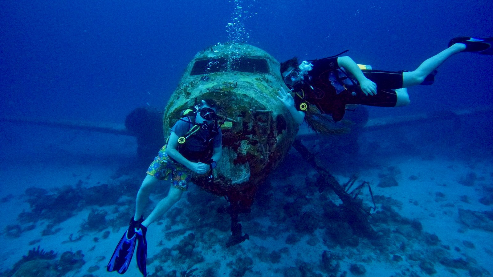 Wreck & Reef Dive - Image 3
