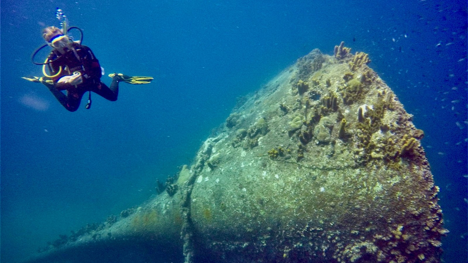 Private Dive Charter - Image 5