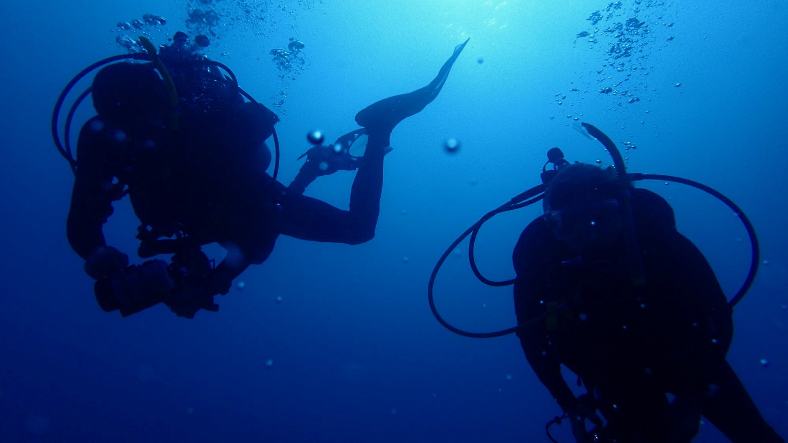 Private Dive Charter - Image 7