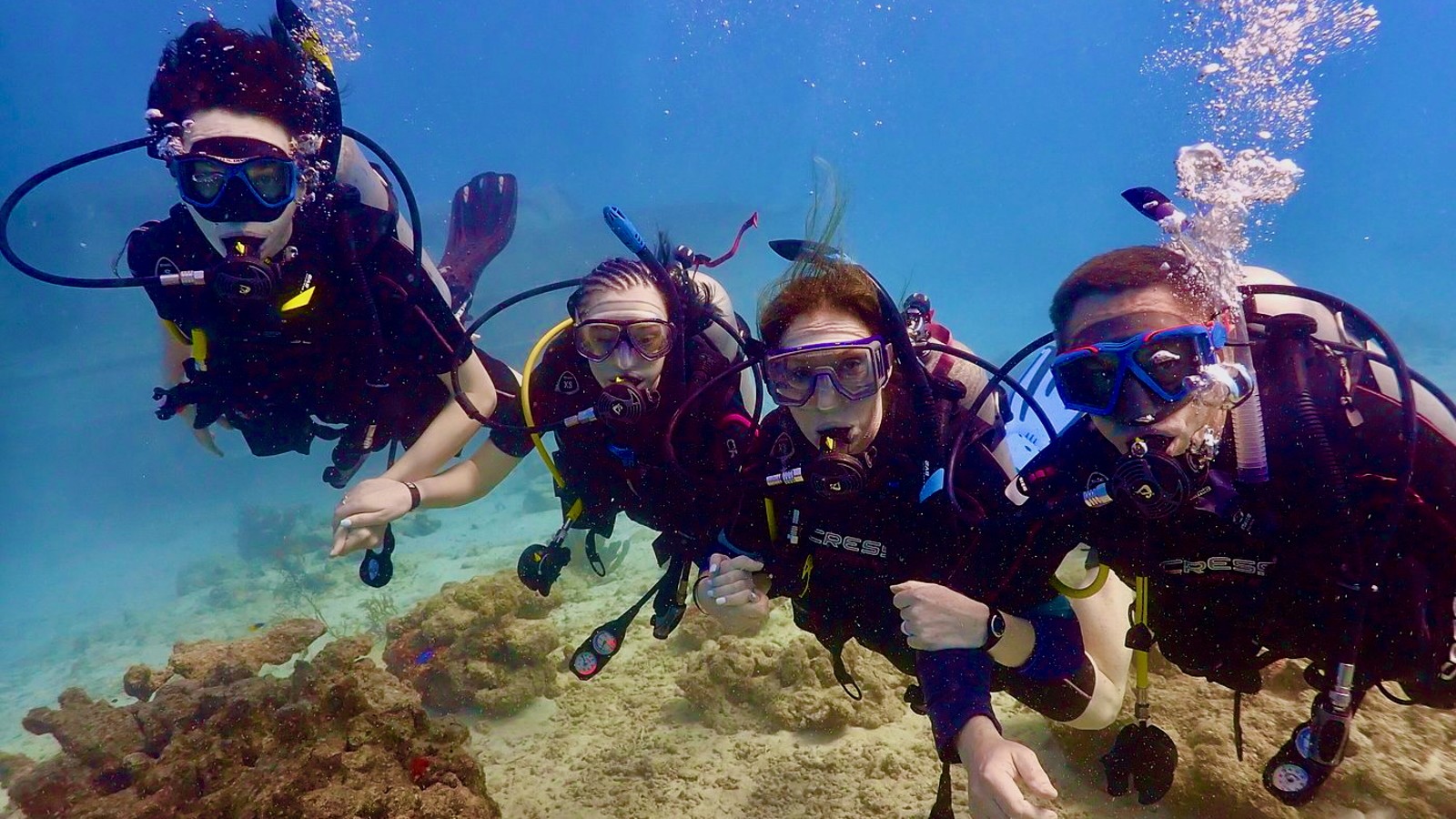 Guided Shore Dive - Image 1