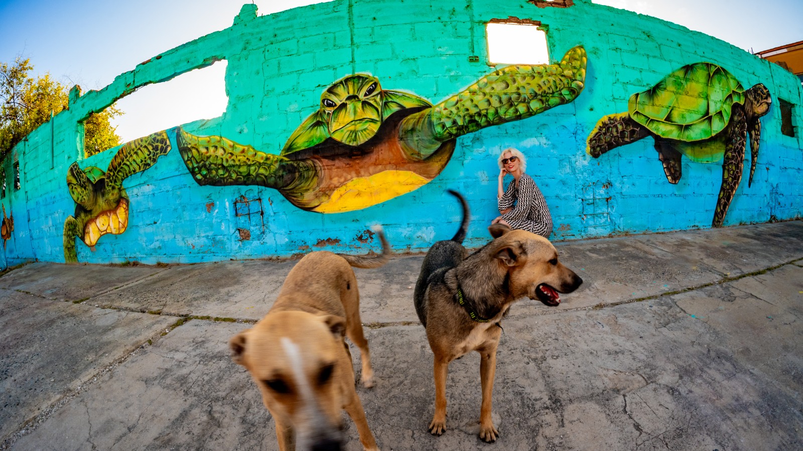 The Whole Story Tour of San Nicolás - Image 2