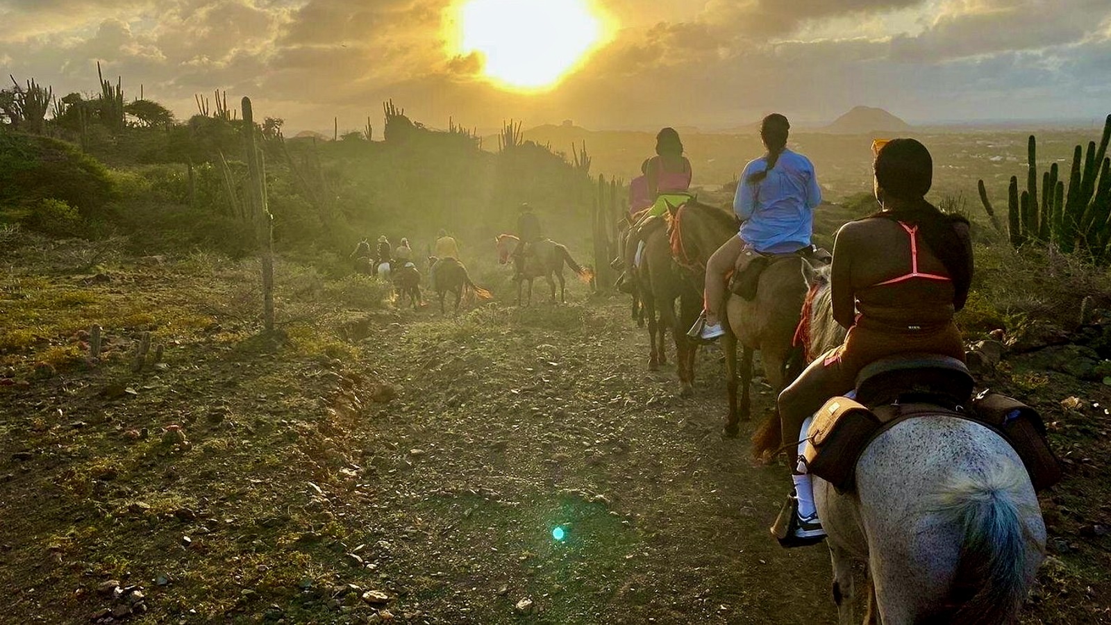 Natural Pool Horseback Ride - De Palm Tours - Image 2