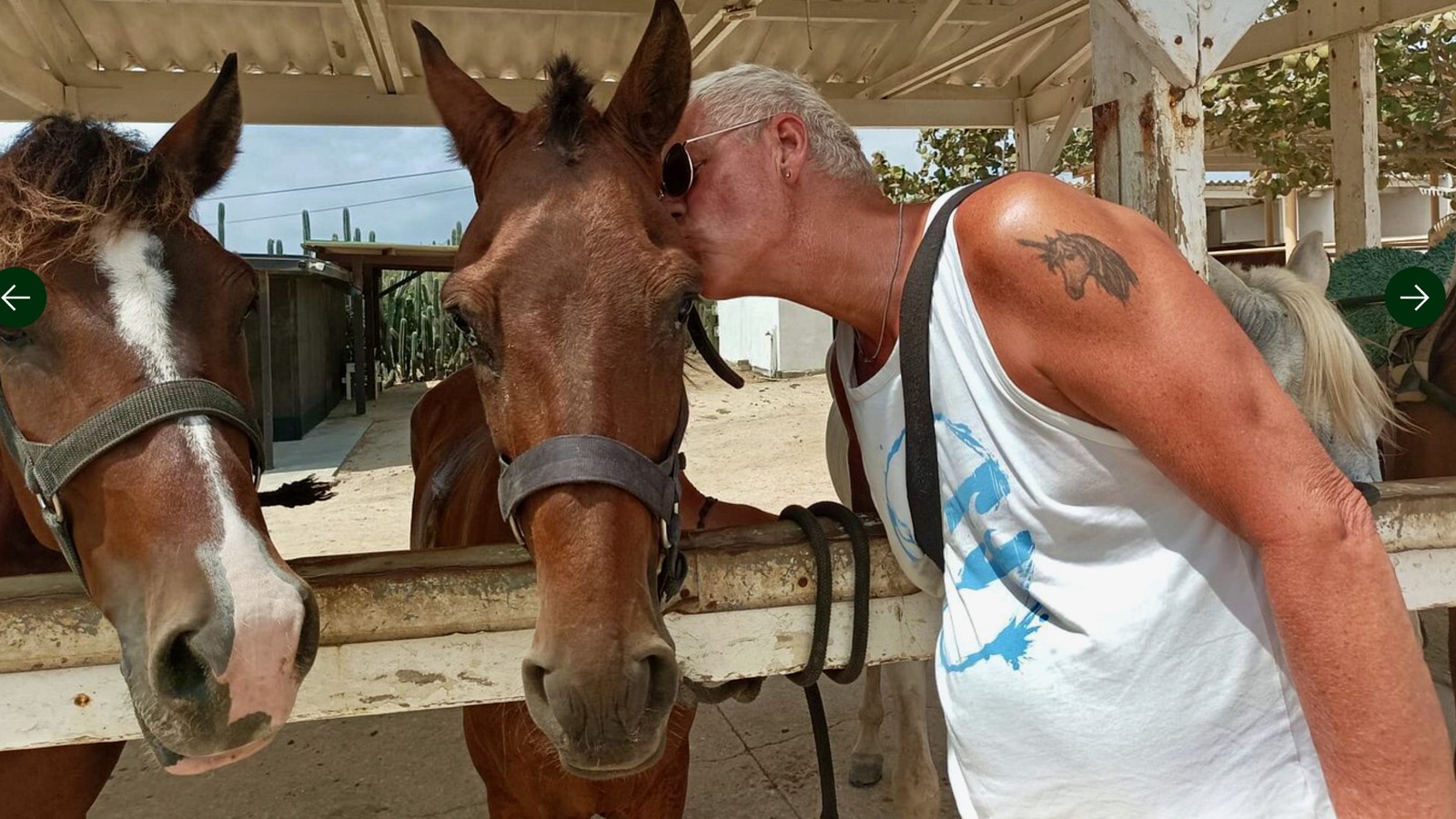 Natural Pool Horseback Ride - De Palm Tours - Image 1