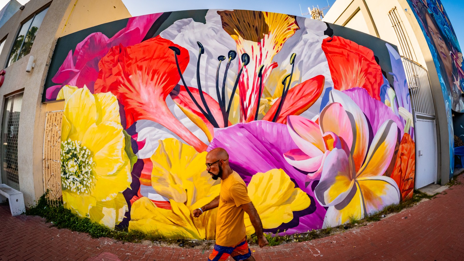 08. Aruba Street Art - Image 3