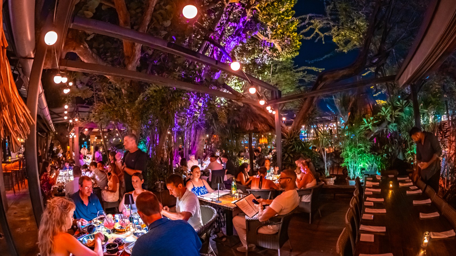 Bohemian Bar & Restaurant - Image 2