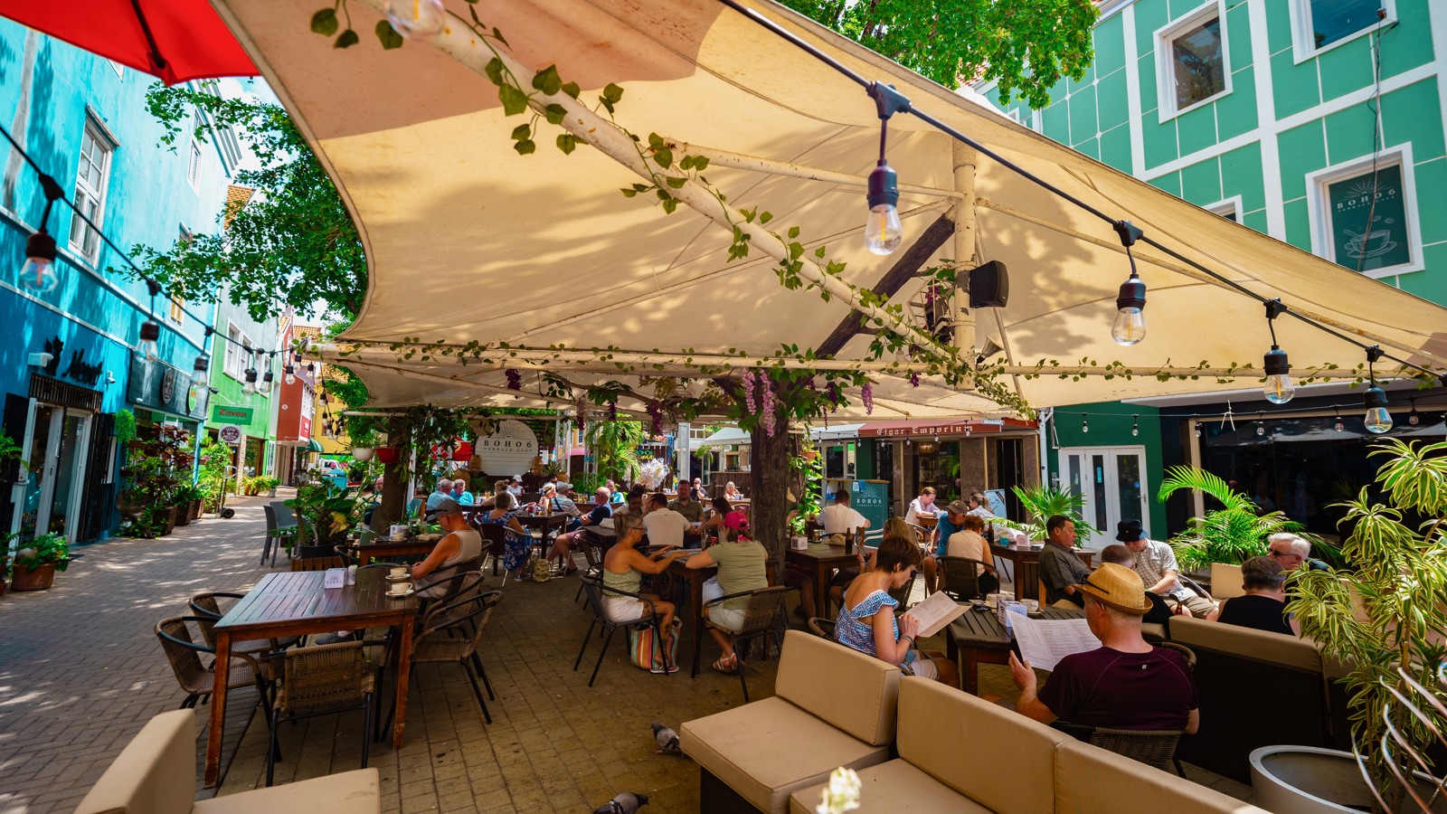 Boho6 Terrace Café - Happy Hour - Image 1