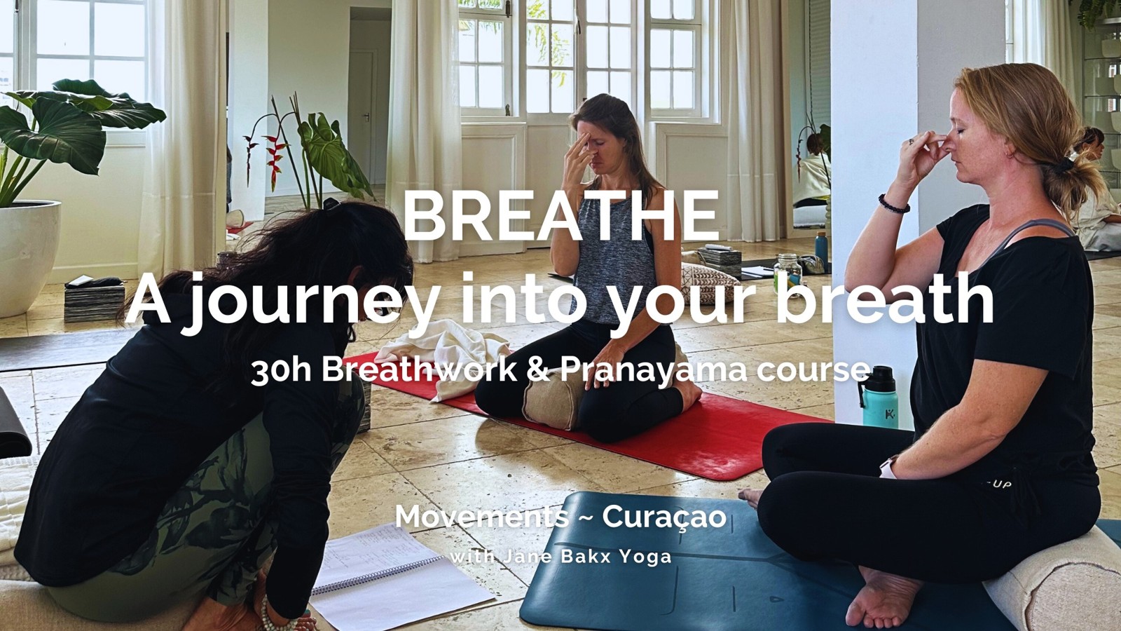 Pranayama & Breathwork Course (Closing Session) - Image 1