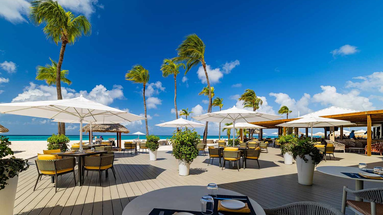 Bucuti & Tara Beach Resort (Adults-Only) - Image 12