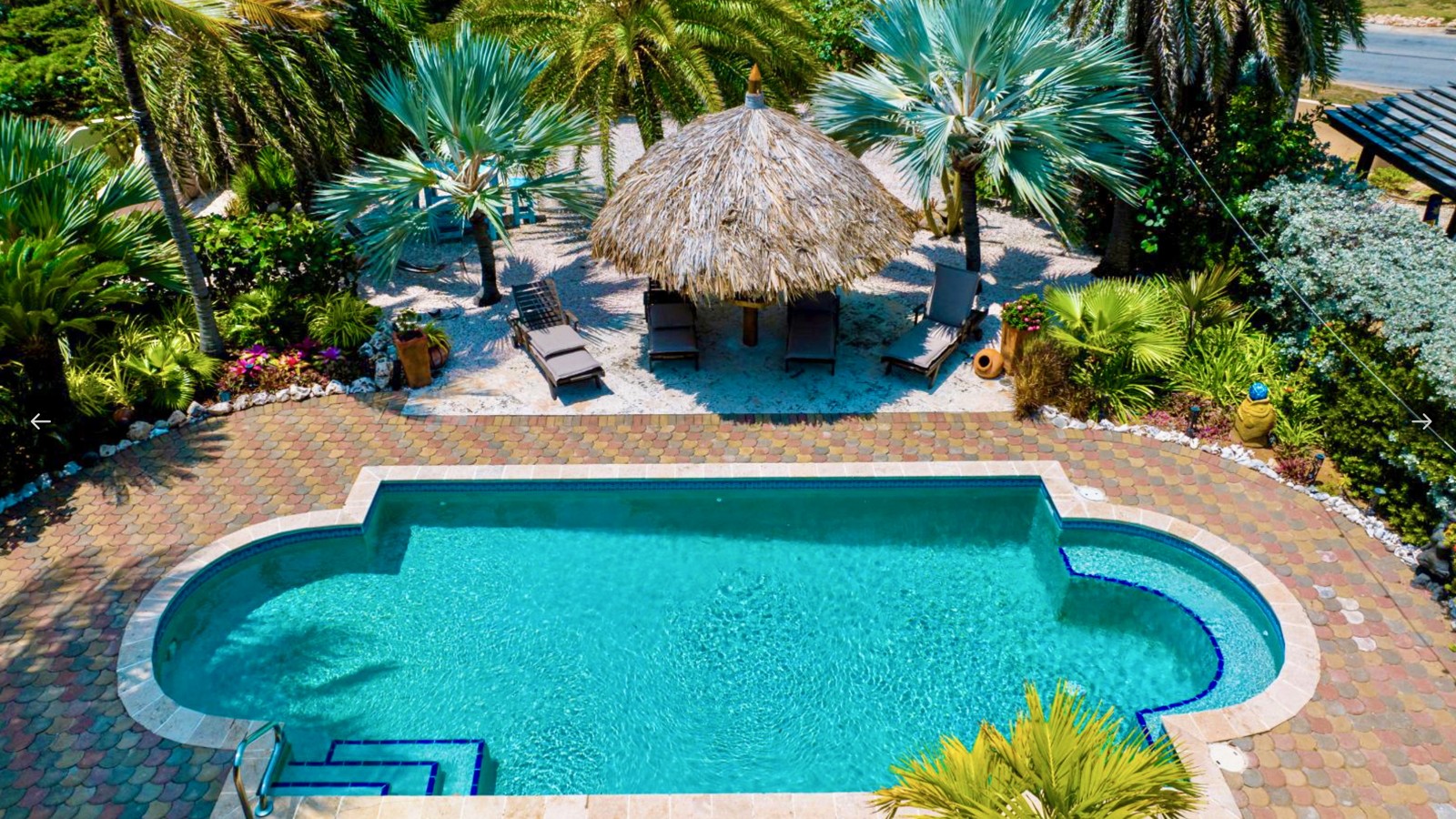 Casiola Aruba - Image 10