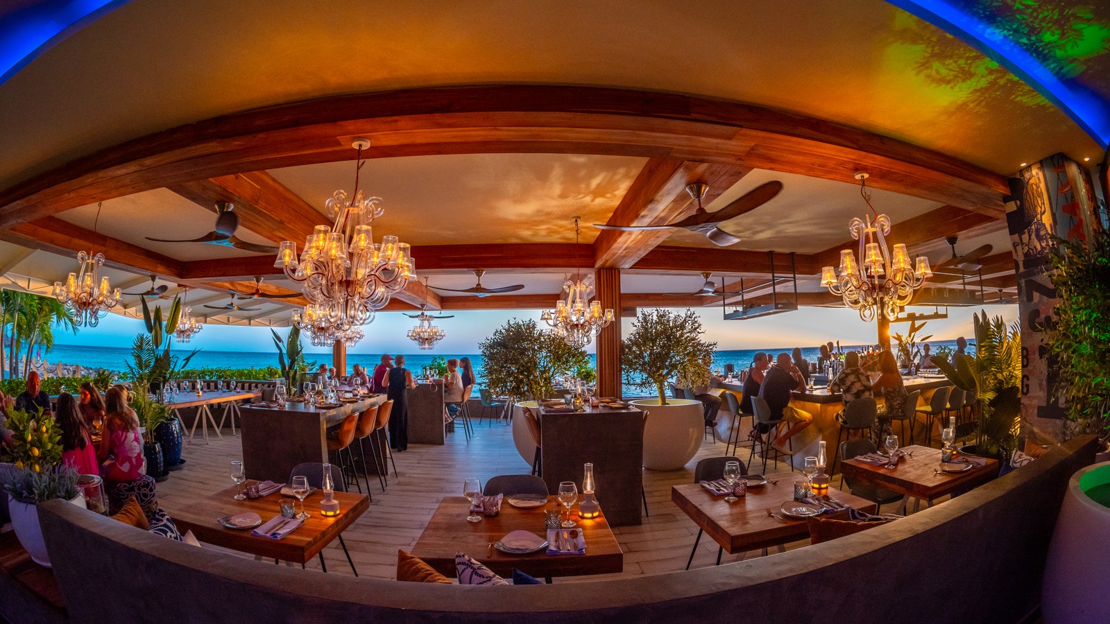 Club Margot Aruba - Image 3