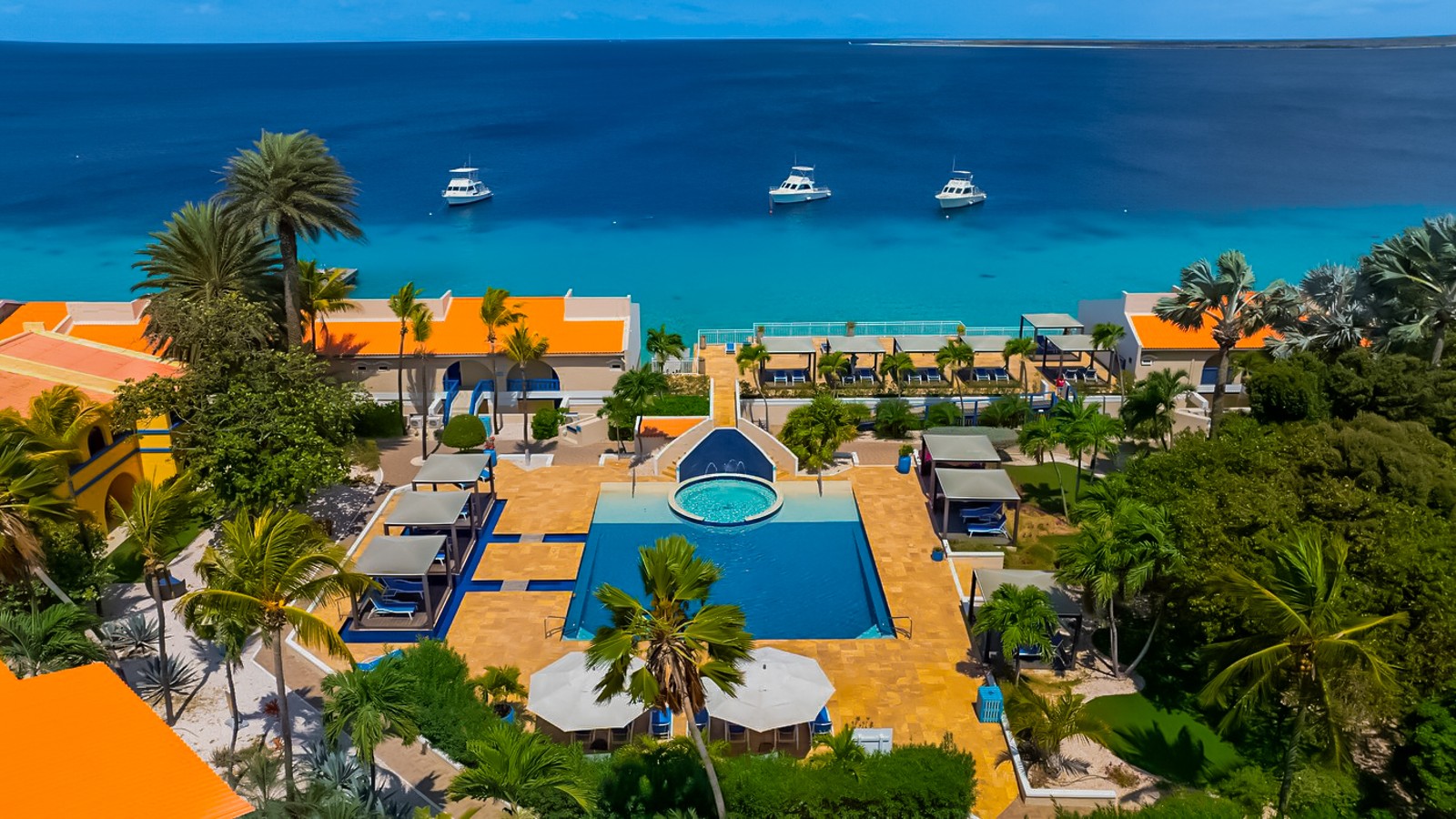 Divi Flamingo Beach Resort & Casino - Image 3