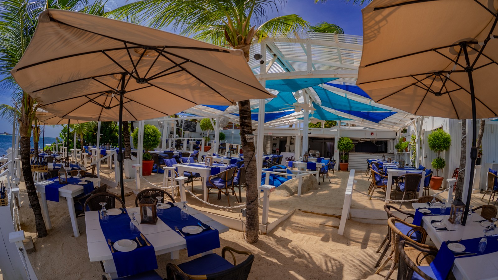 Flying Fishbone - Image 3