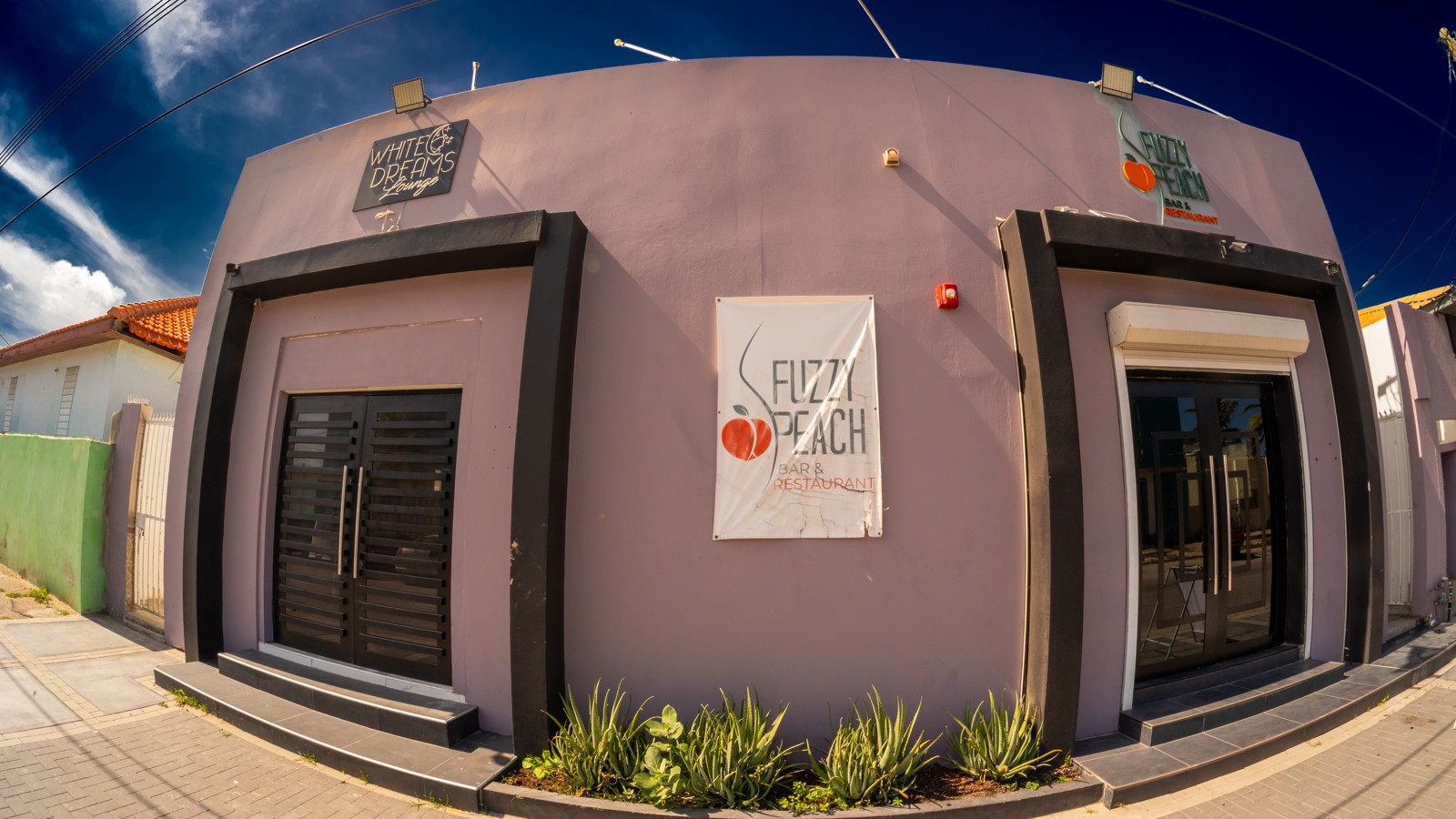 Fuzzy Peach Bar - Image 2