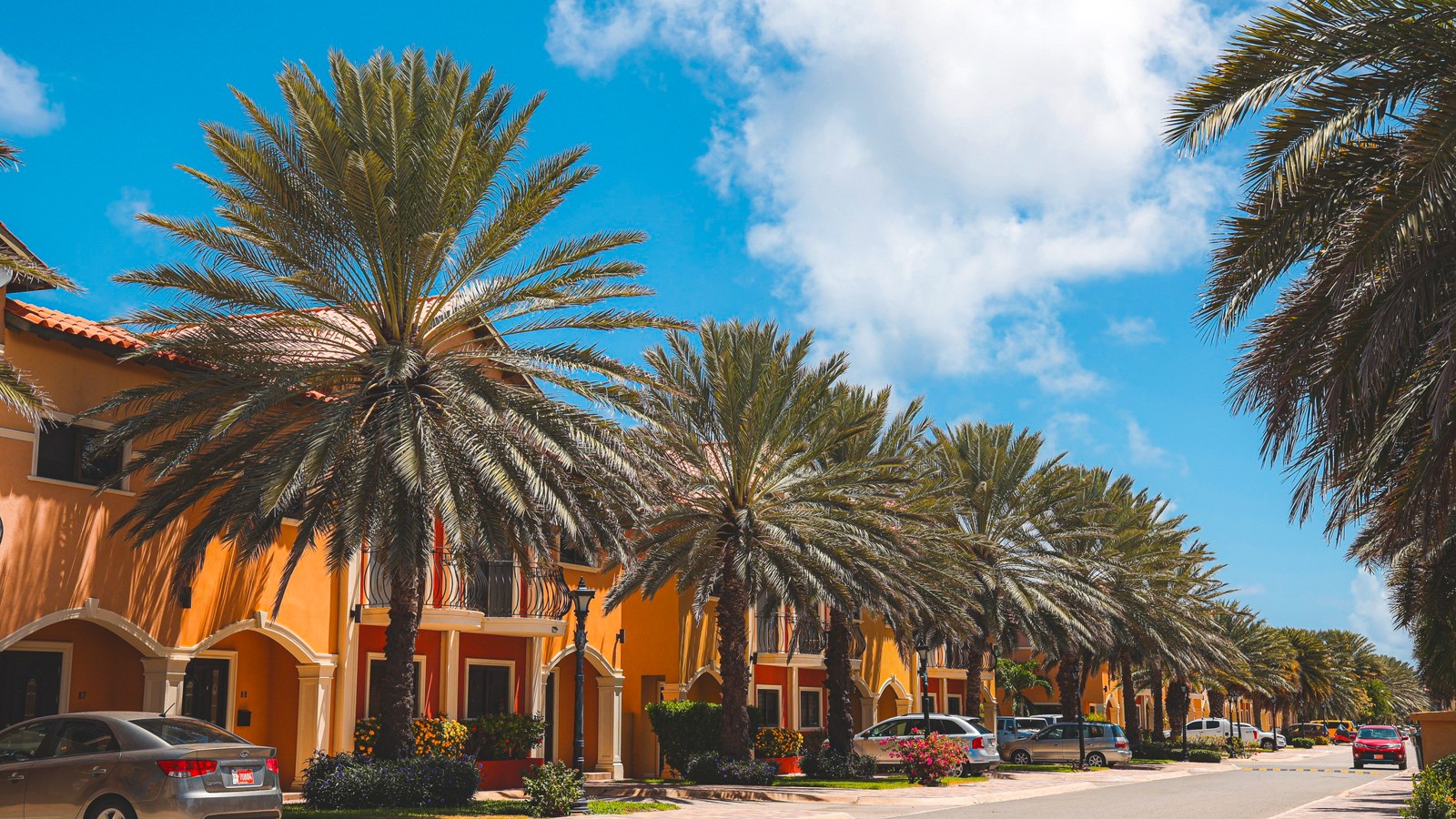 Gold Coast Aruba - Image 3