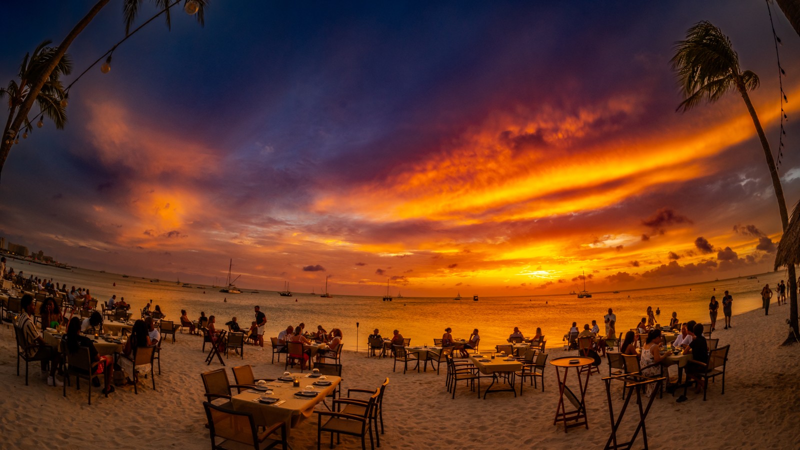 Hadicurari - Image 3