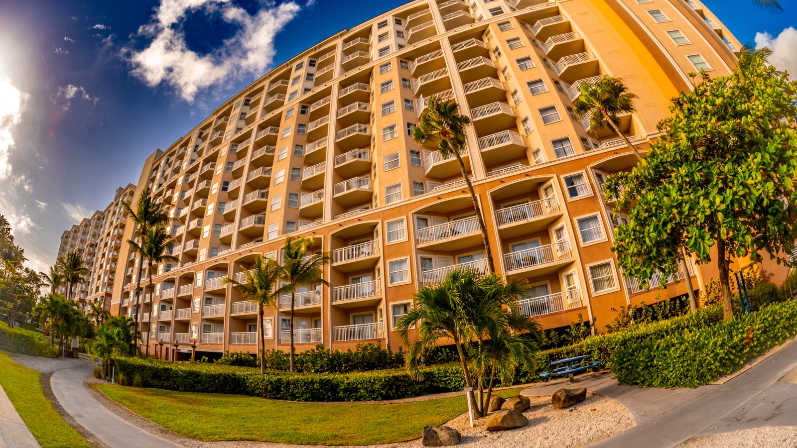 Holiday Inn Resort Aruba - Image 8