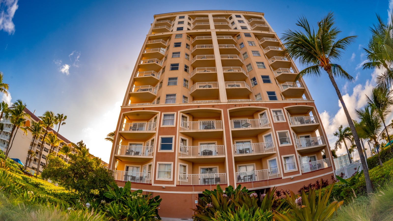 Holiday Inn Resort Aruba - Image 10