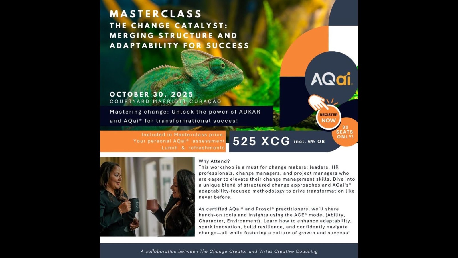 Masterclass: The Change Catalyst - Image 1