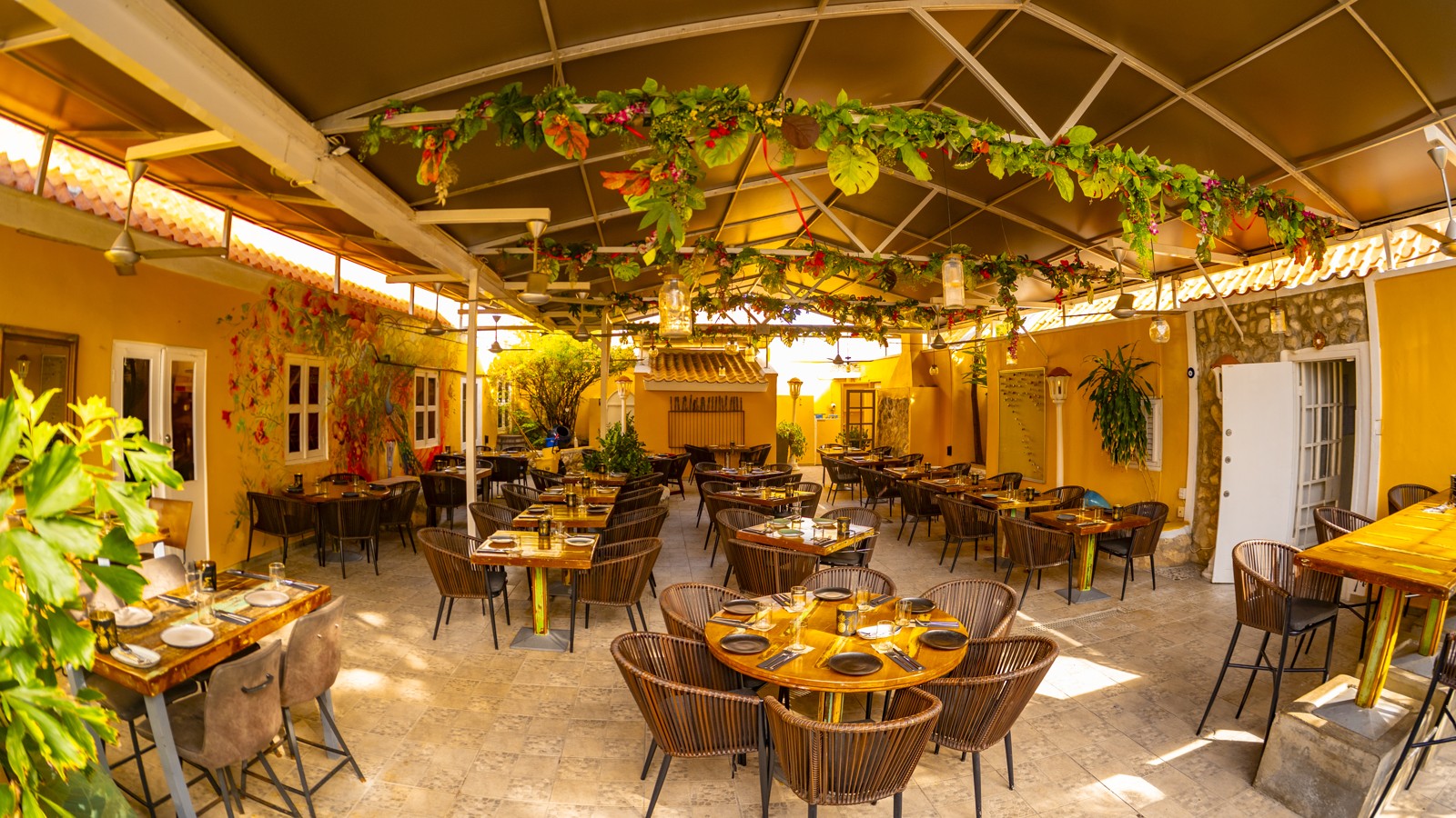 Mosa/Caña - Image 8